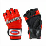 MMA Gloves